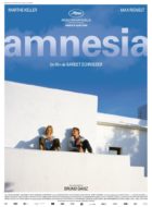amnesia-papo-de-cinema-cartaz
