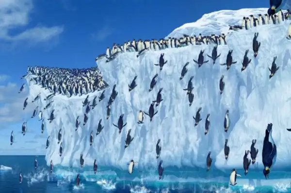 happy feet papo de cinema 2
