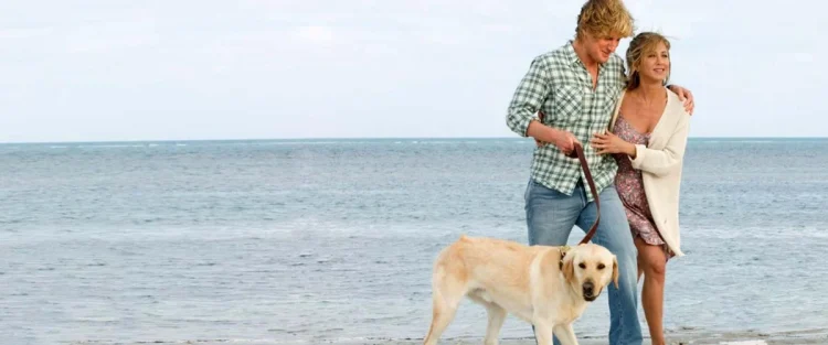 Sessão da Tarde :: Marley & Eu, filme de hoje (12/08), contou com diversos ‘Marleys’. Entenda! 2 Sessão da Tarde :: Marley & Eu