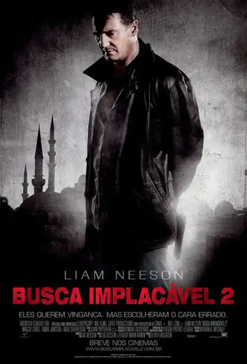 Busca Implacável 2