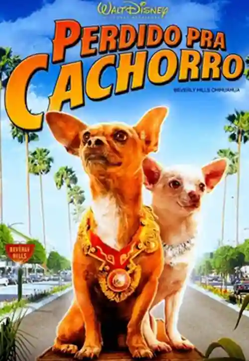 Críticas 3 Perdido pra Cachorro