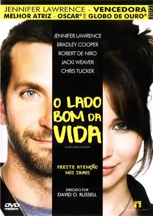 O Lado Bom da Vida