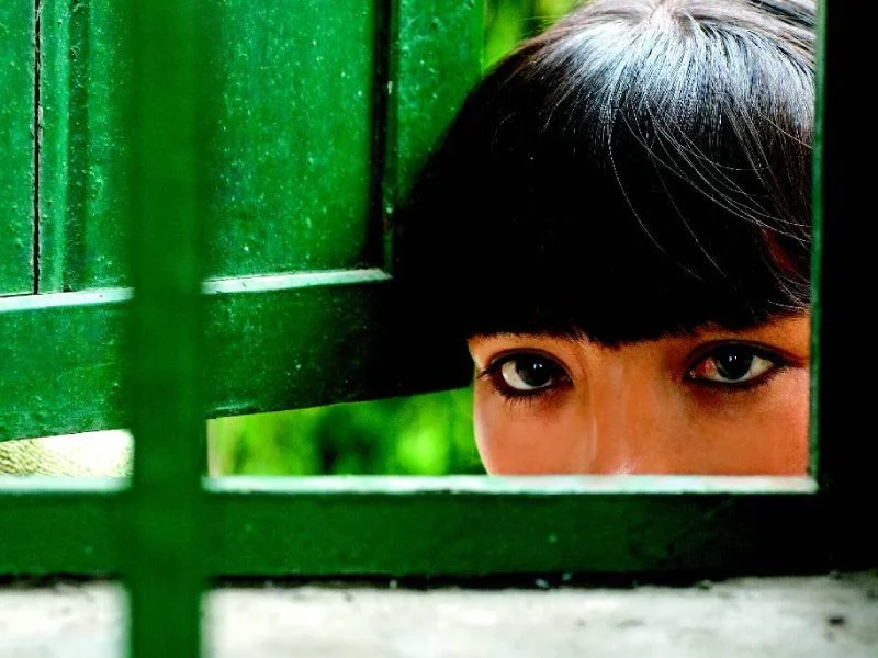 20260428 a teta assustada 2009 papo de cinema 800