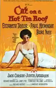 tennessee williams cat on a hot tin roof