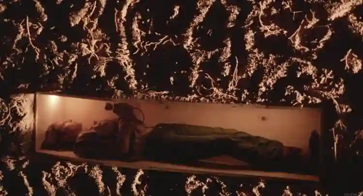 killbill 2 e1561562299600