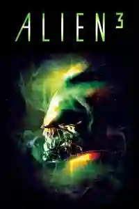 51 fincher papo de cinema 09