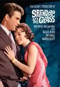 51 kazan papo de cinema 05