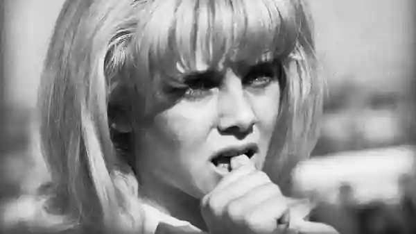 lolita papo de cinema 3