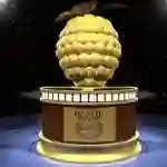 framboesa de ouro papo de cinema e1389803794430