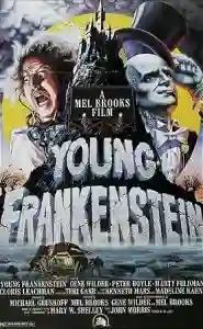 o-jovem-frankenstein-papo-de-cinema