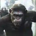 20140723 dawn of the planet of the apes wallpaper matt reeves reveals alternate dawn of the planet of the apes ending
