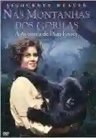 20140725 nas montanhas dos gorilas papo de cinema 11 e1406319967950