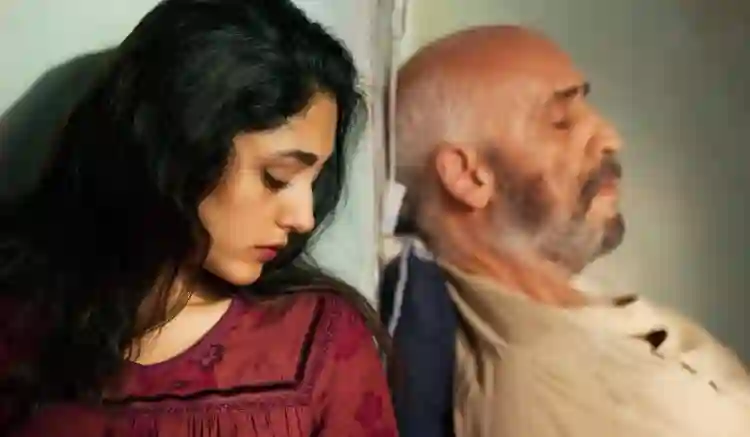 20140726 02 a pedra de paciencia papo de cinema e1539994588889