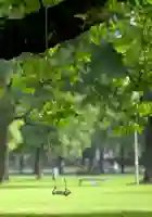 20140807 esse viver ninguem me tira papo de cinema 11 e1407375482759