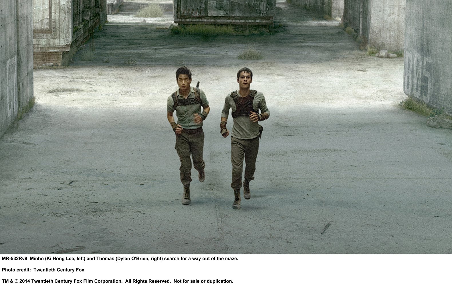 Maze Runner: Correr ou Morrer – Papo de Cinema