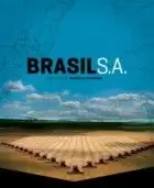 20150206 brasil s a poster papo de cinema