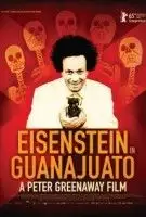 20150213 poster eisenstein in guanajuato papo de cinema
