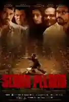 20150427 serra pelada papo de cinema