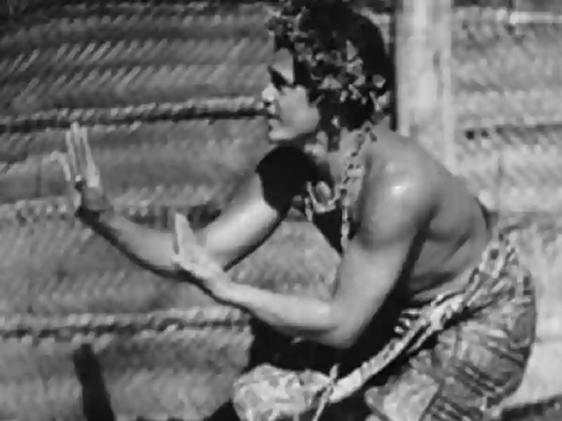 20240919 moana sonoro papo de cinema 800