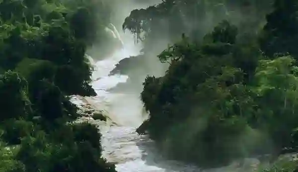 20150511 01 a lei da agua novo codigo florestal papo de cinema e1431385173976