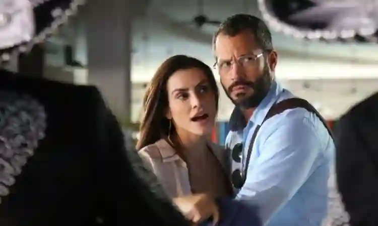 20150601 01 qualquer gato vira lata 2 papo de cinema e1553900218457
