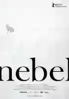 Fog 16 20150615 7668158.5 e1434390407993