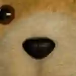 20150715 ted 2 e1436996340175