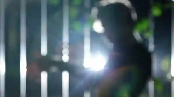 20150727 02 a paixao de jl papo de cinema