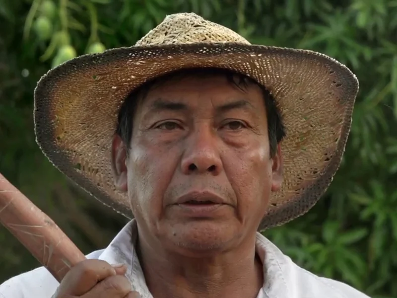 20250616 a nacao que nao esperou por deus papo de cinema 800