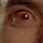 20150803 o vampiro da noite e1438621236163