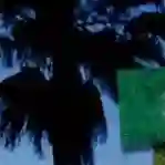 20150804 bomfim e1438714215277