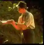 Cine Gourmet encerra temporada 2015 com o filme Caminhando nas Nuvens 23 20150929 caminhando e1443543472195