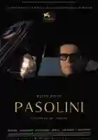 20151026 poster pasolini 64x94cm e1445884726225
