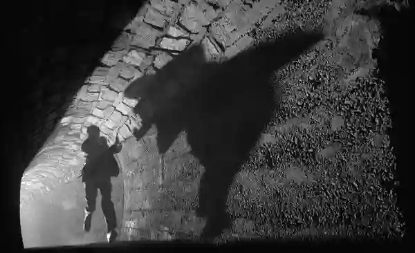 processo-papo-de-cinema-03