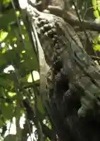 20160129 958751ca6d7ac56d351e79d0ad2843d4 1446137581 e1454074010195