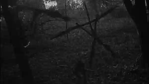 blairwitch