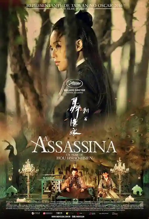 A Assassina