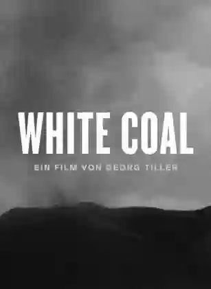 20160812 white coal papo de cinema poster e1471022940173