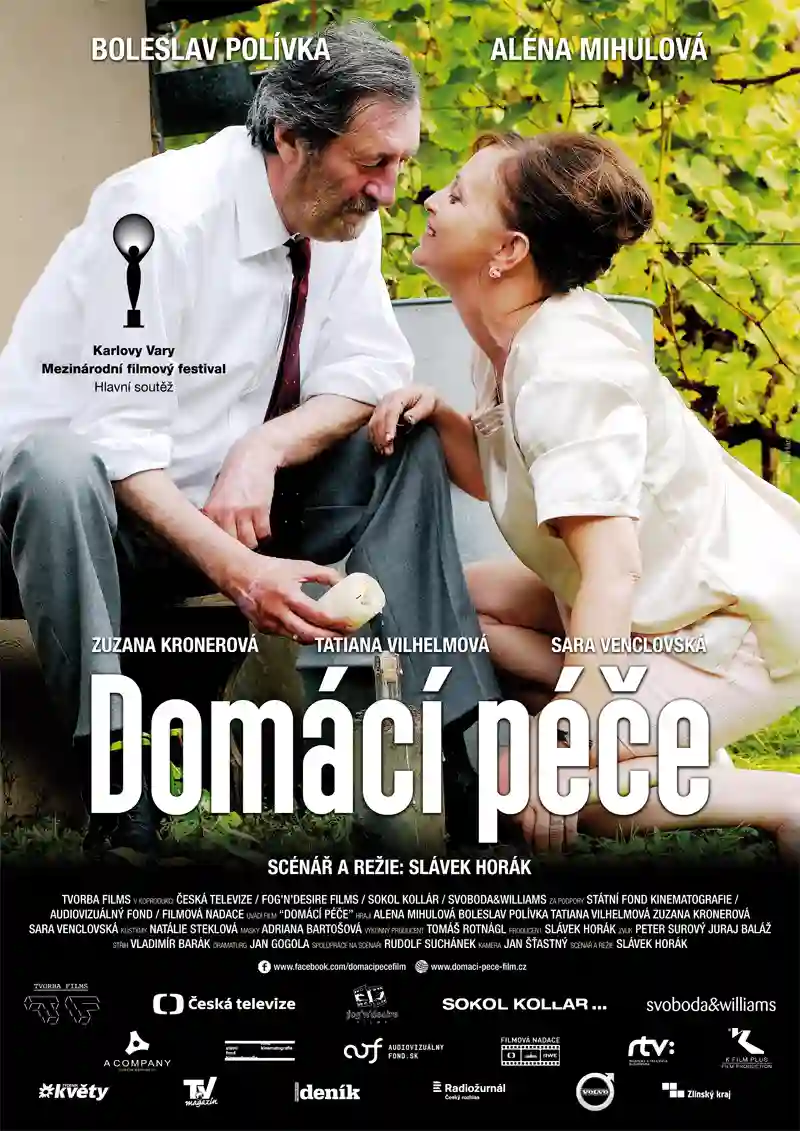 Assistência Domiciliar 18 20160826 assistencia poster