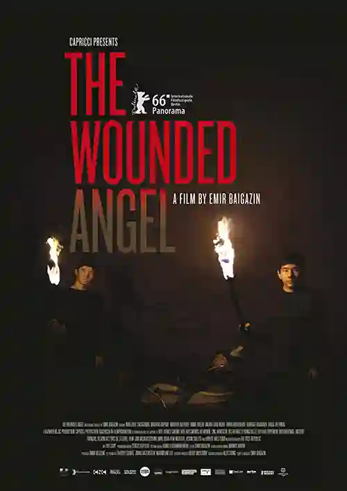 O Anjo Ferido