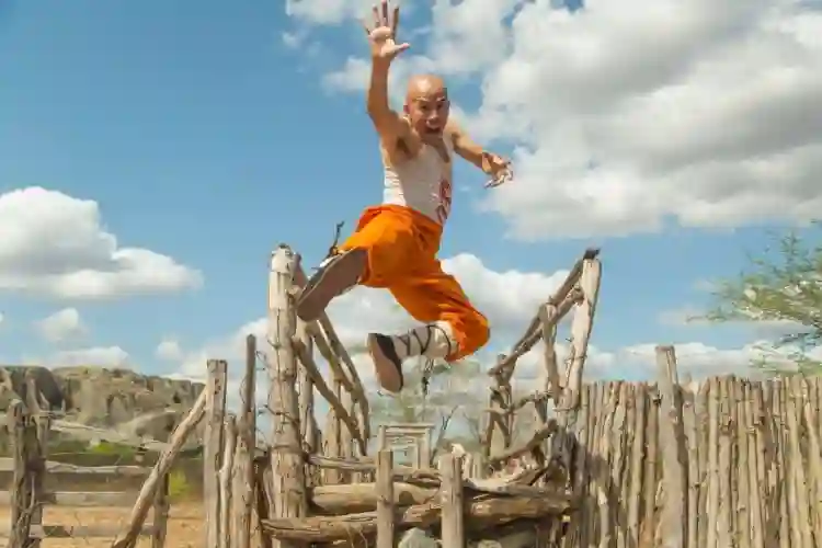 20191210 o shaolin do sertao papo de cinema