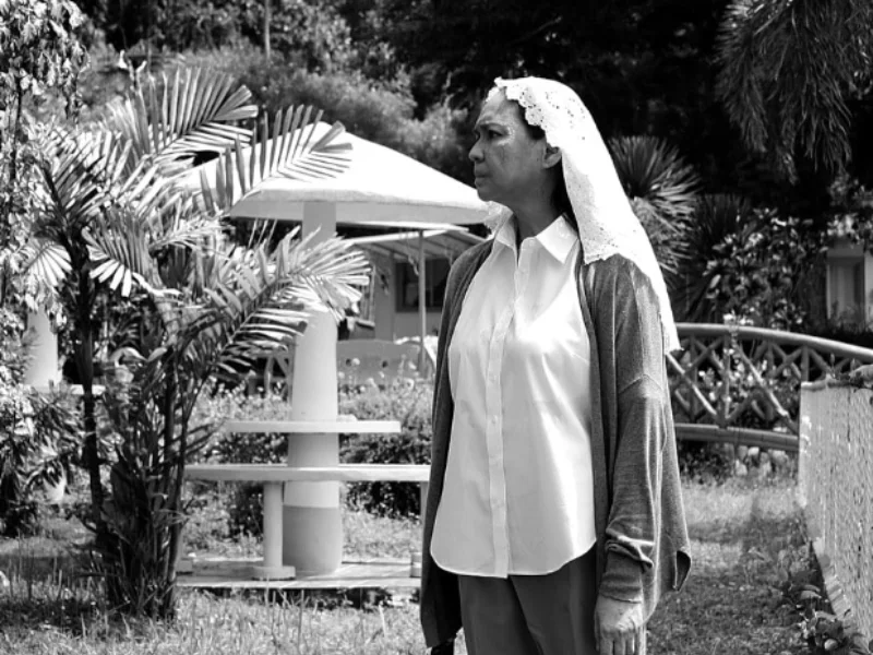 20260305 a mulher que se foi 2016 800