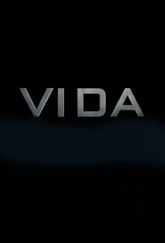 20161108 vida life filme poster