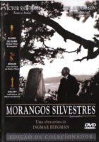 morangos-silvestres-papo-de-cinema-11