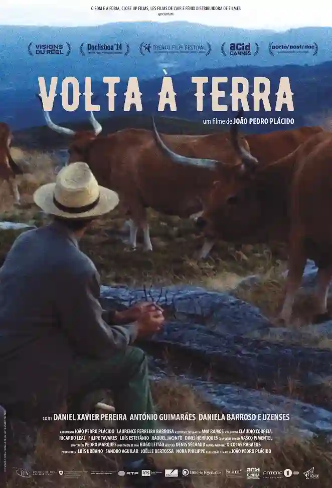 20161125 volta a terra papo de cinema cartaz