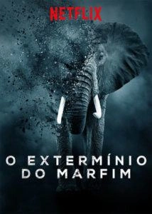 O Extermínio do Marfim