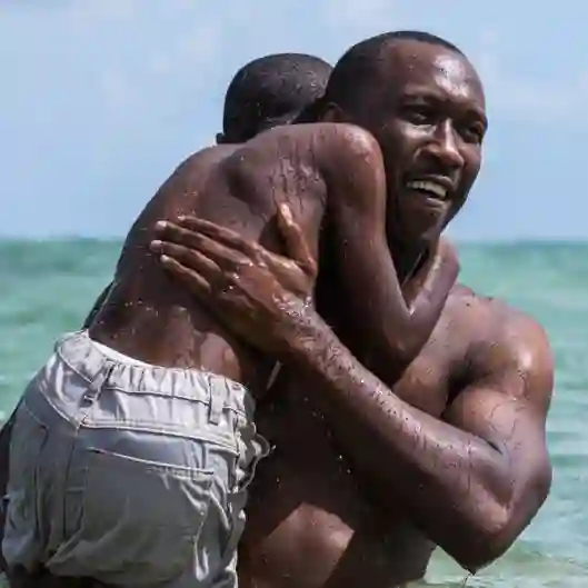 Moonlight é eleito o melhor filme de 2016 pela Sociedade dos Críticos de Cinema dos EUA 20 20170108 moonlight papo de cinema 2