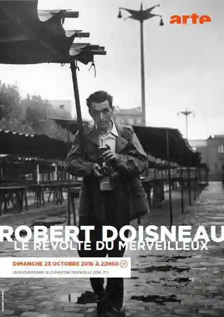 20170110 revolte