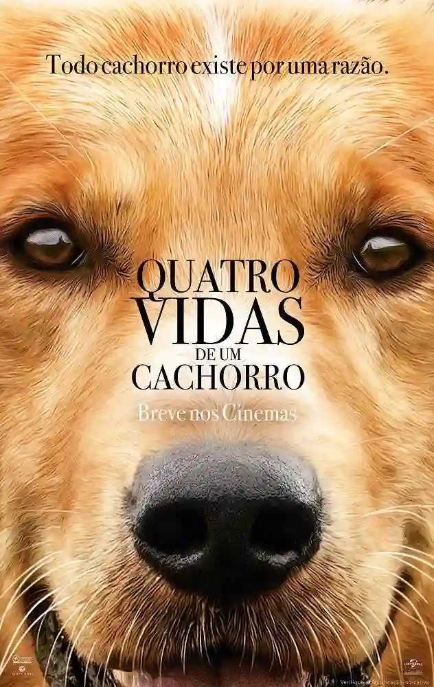 Críticas 18 Quatro Vidas de Um Cachorro