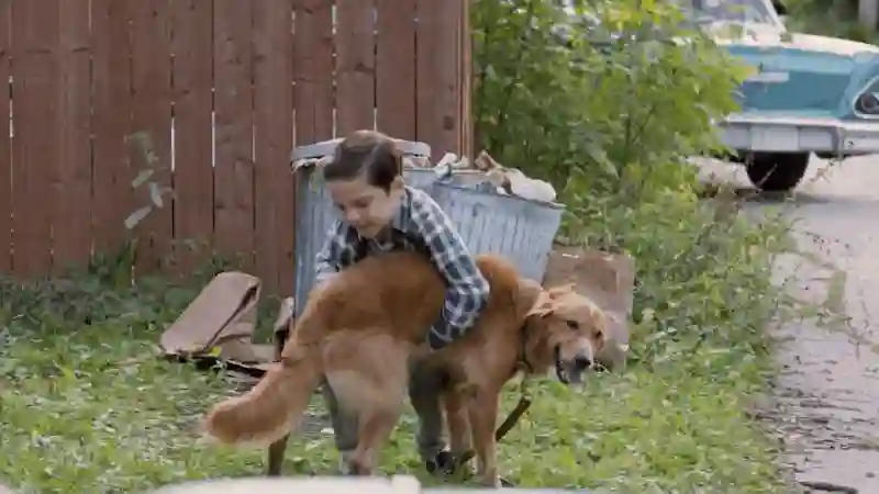 Sessão da Tarde :: Quatro Vidas de um Cachorro, filme de hoje (12/02), enfrentou polêmicas antes de seu lançamento 2 Sessão da Tarde (02/12/2025): Quatro Vidas de um Cachorro (2017)